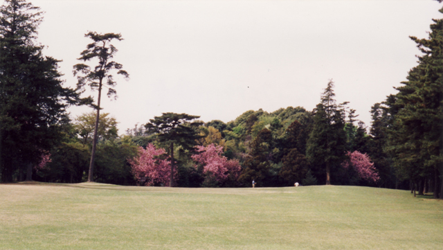 第41回 紫カントリークラブすみれコース ブログ ゴルフ会員権相場情報のことなら桜ゴルフ